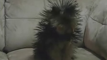 秋冬季節靜電防（fáng）護常識