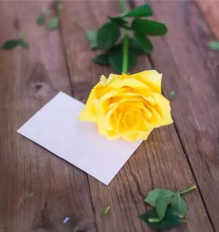 興業卓輝|2018感恩有你