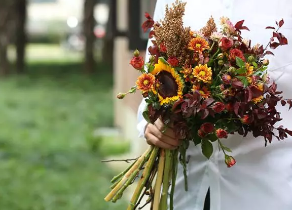 2019|“豬”事順利