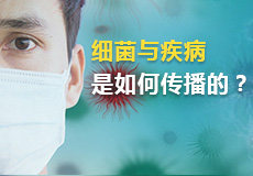 細菌（jun1）與疾病是如何傳播的