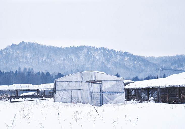 今日，大雪（xuě）