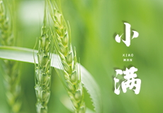 今日小滿｜物致於此小得盈滿