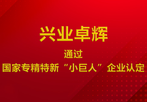 喜訊！興（xìng）業卓輝通過國家專精特新“小巨人”企（qǐ）業認定！