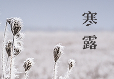 寒露｜露水始寒，秋風漸涼