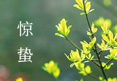 興業卓輝（huī）｜驚蟄（zhé）到，萬物生