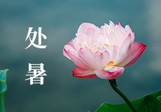 今日處（chù）暑