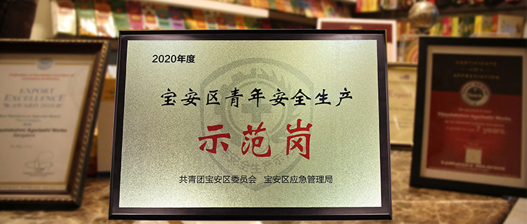 2020年度寶安區青年安全生（shēng）產（chǎn）-示範崗-750.jpg