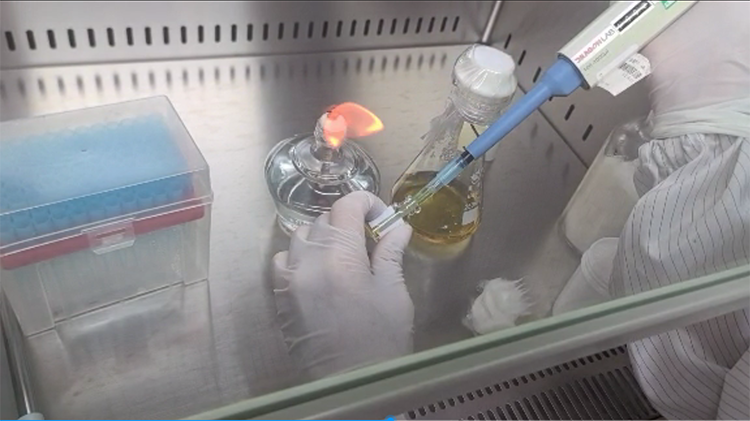 微（wēi）生物檢測 (1).png