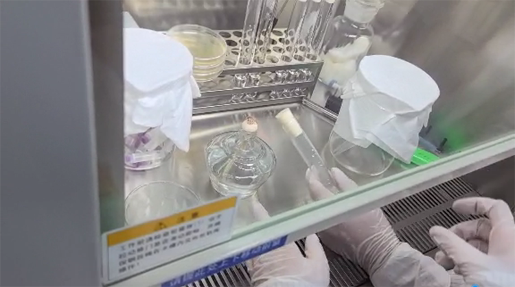 微生物（wù）檢測 (6).png