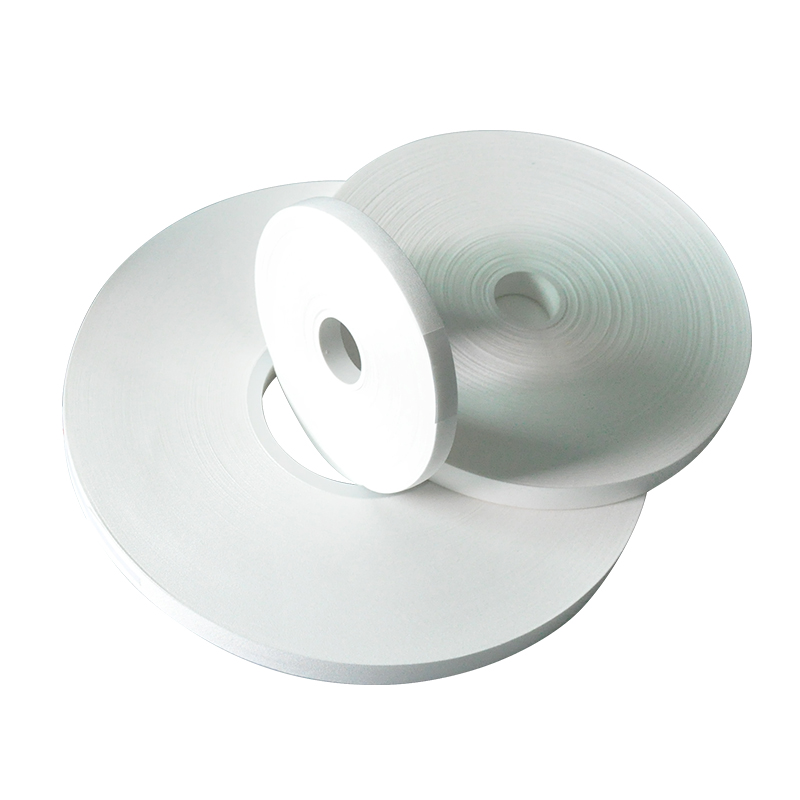 無塵卷（juàn）布(B31)